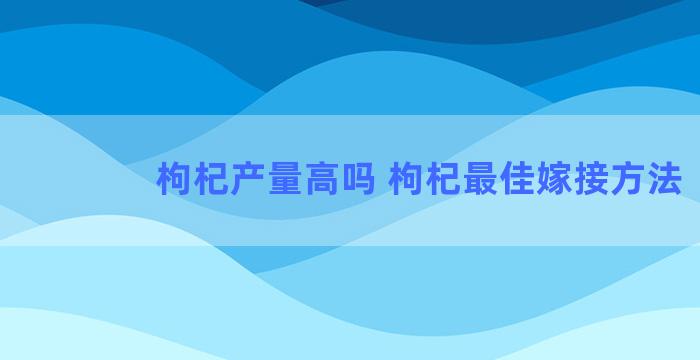 枸杞产量高吗 枸杞最佳嫁接方法